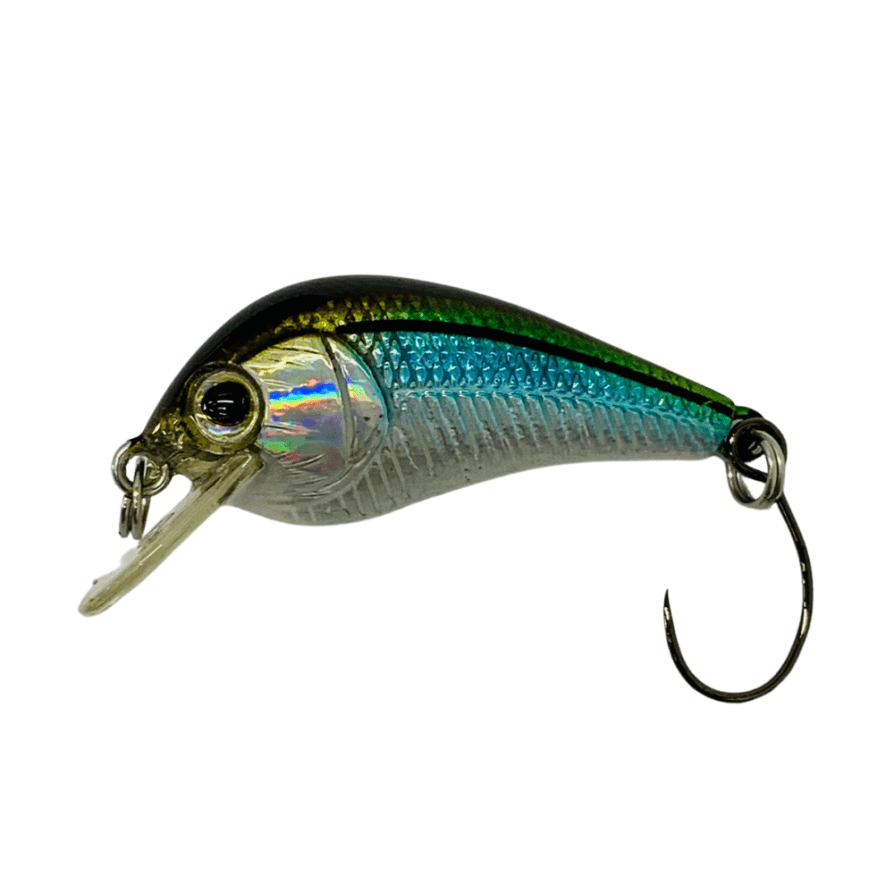 CURRICANES | Tiendas de pesca en México